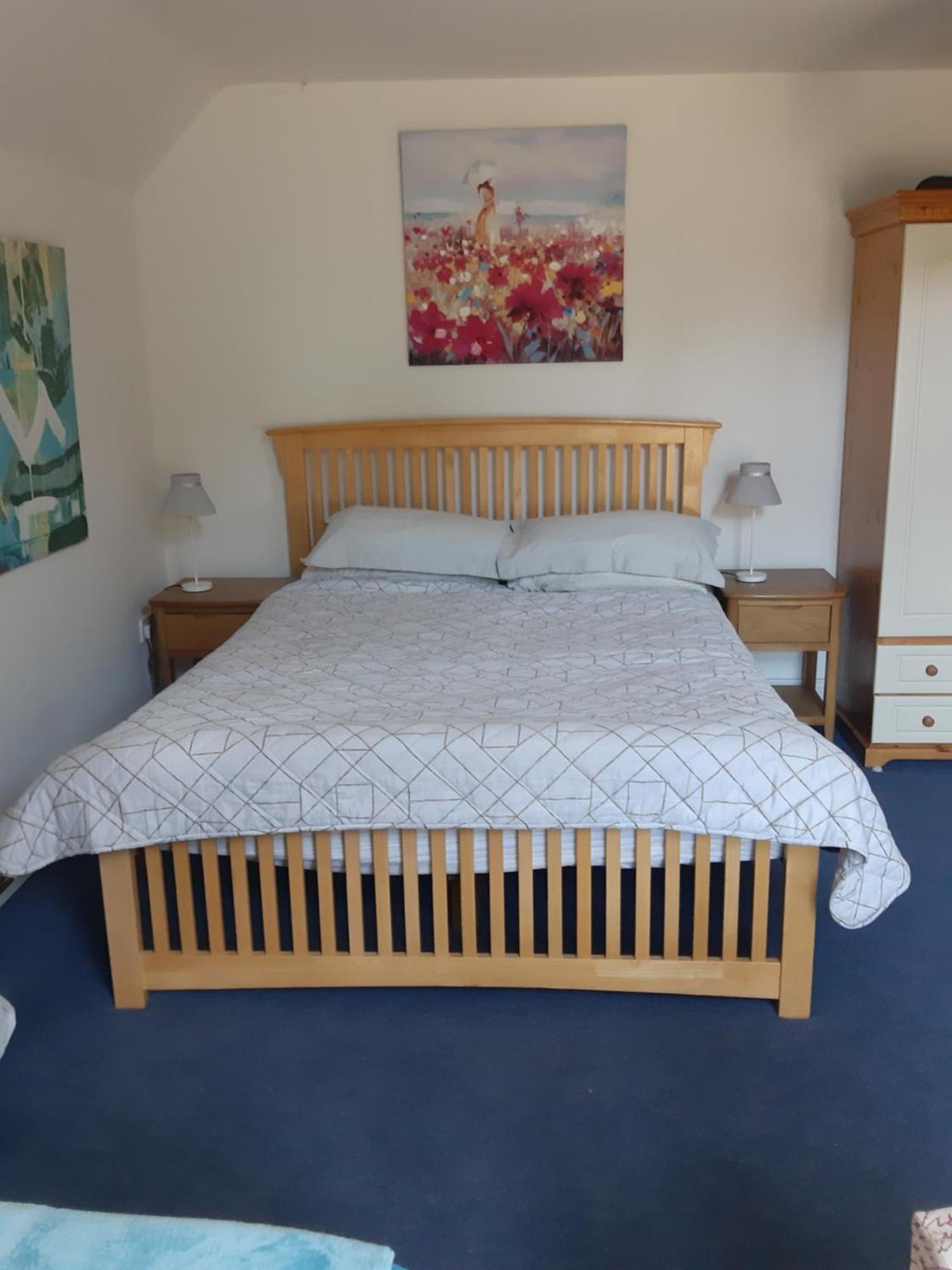 Kyleard Ryan Bed & Breakfast Monasterevin Ngoại thất bức ảnh