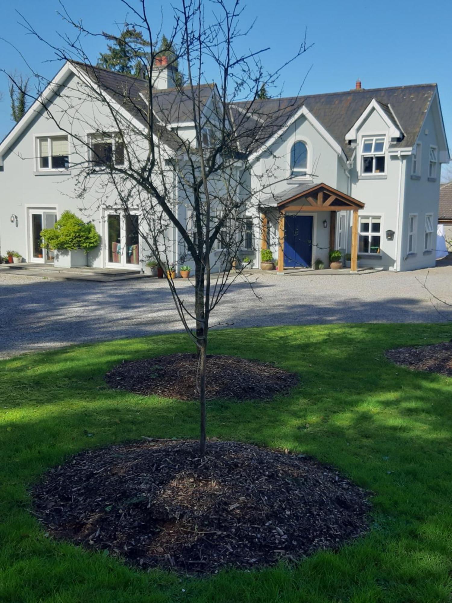 Kyleard Ryan Bed & Breakfast Monasterevin Ngoại thất bức ảnh