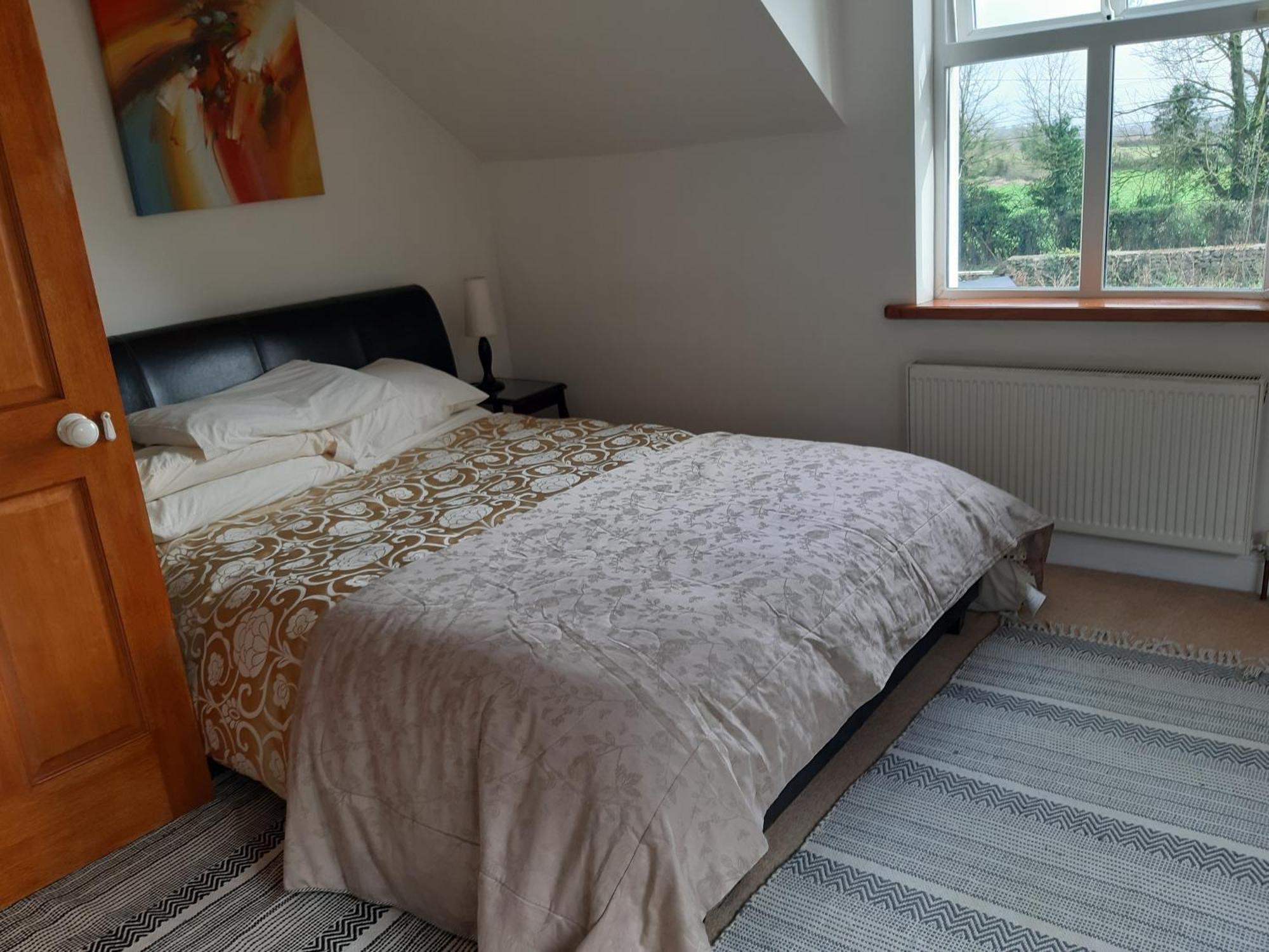 Kyleard Ryan Bed & Breakfast Monasterevin Ngoại thất bức ảnh